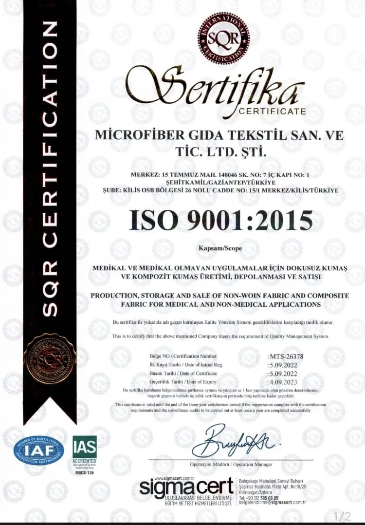 ISO 9001b